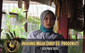 recent-project-img-1